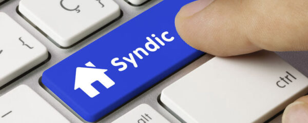 syndic